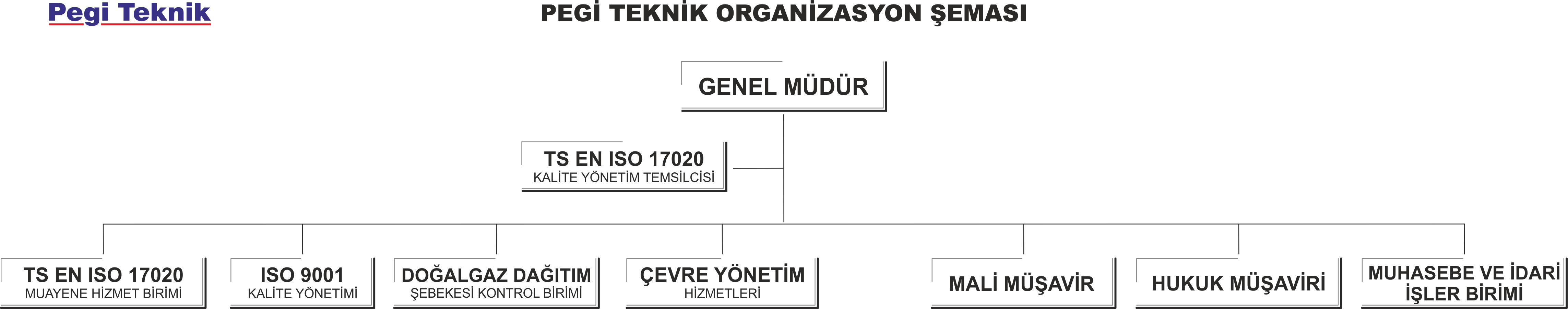 Pegi Teknik Organizasyon Şeması